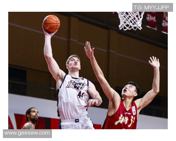 马达加斯加与民主刚果共和国精彩对决直播全程回顾与分析