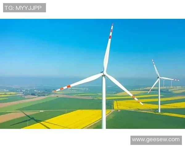 湾区争雄够山东之关键词：支撑、传承、应战